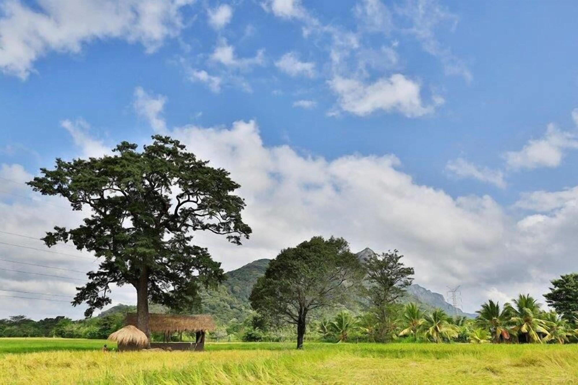 Kalundewa Retreat Hotel Dambulla Luaran gambar