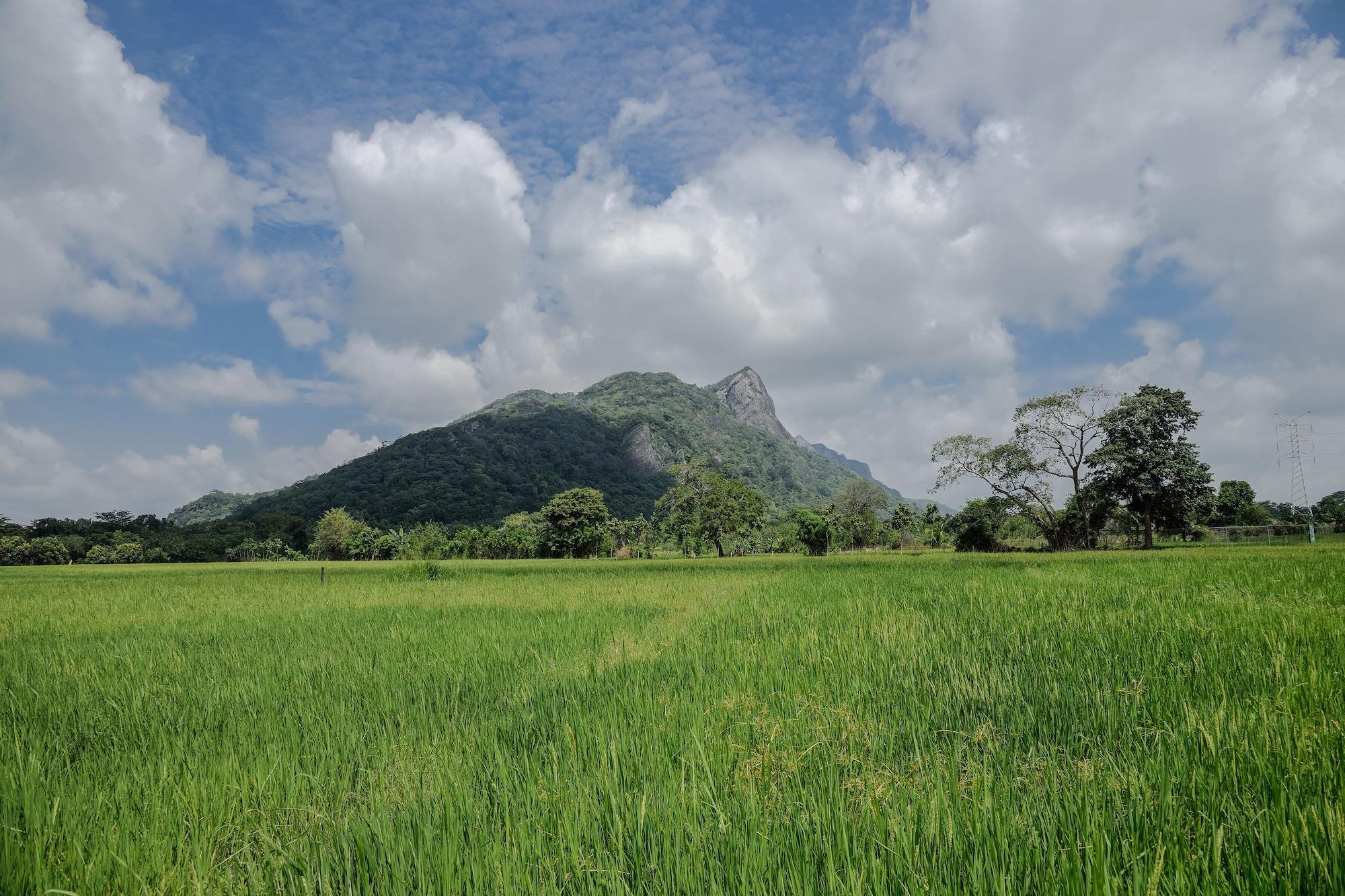 Kalundewa Retreat Hotel Dambulla Luaran gambar