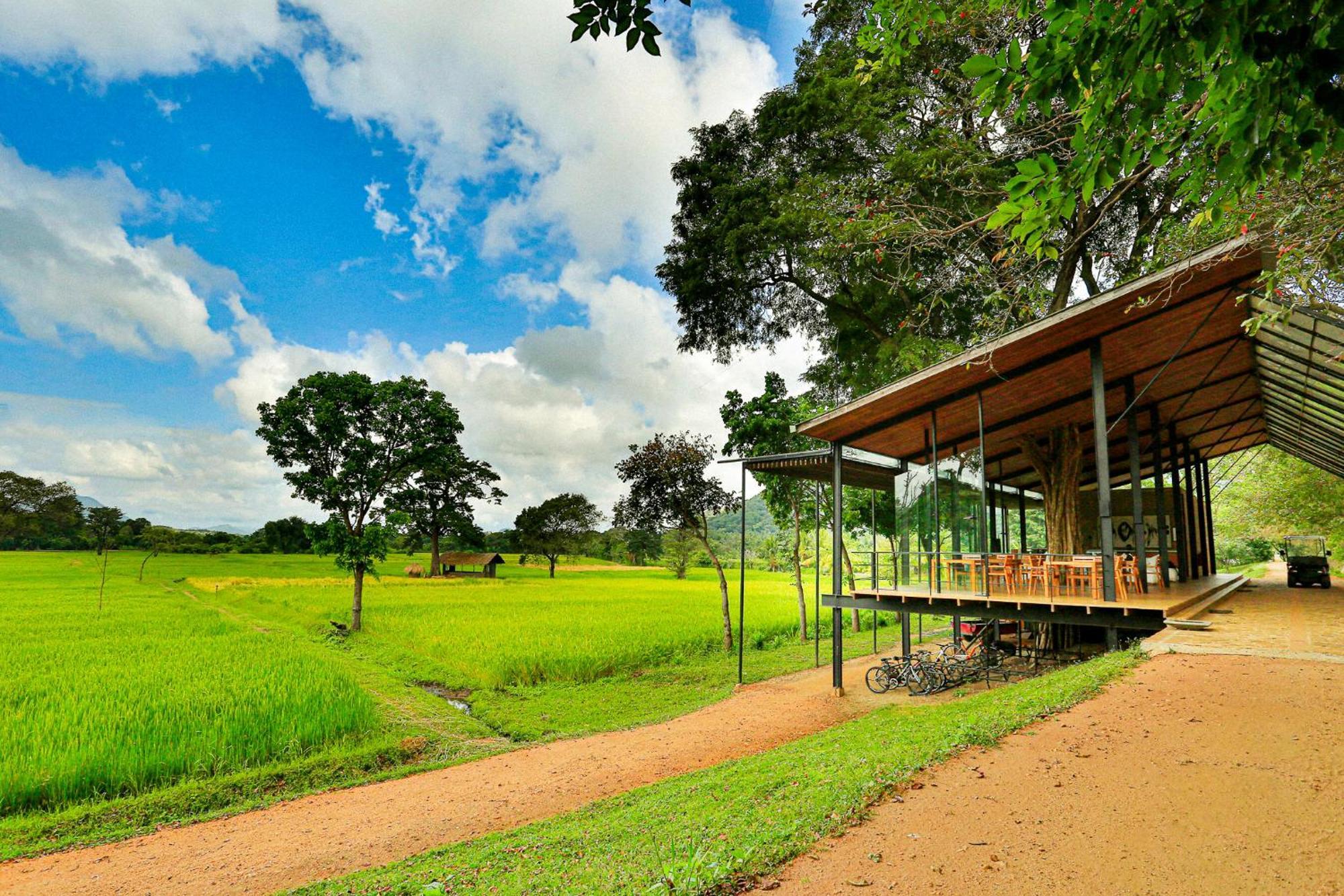 Kalundewa Retreat Hotel Dambulla Luaran gambar