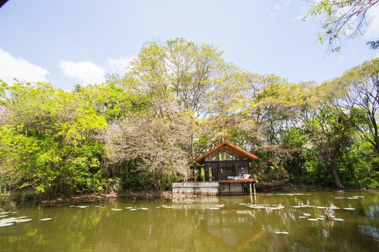 Kalundewa Retreat Hotel Dambulla Luaran gambar